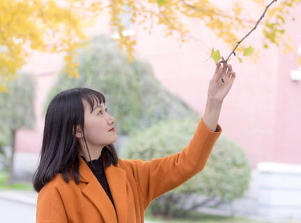 菲律宾旅行证电子签证(旅行证电子签证攻略)